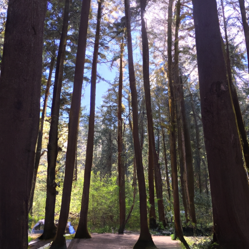 salmon creek campground