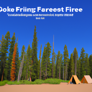 fish lake national forest camping