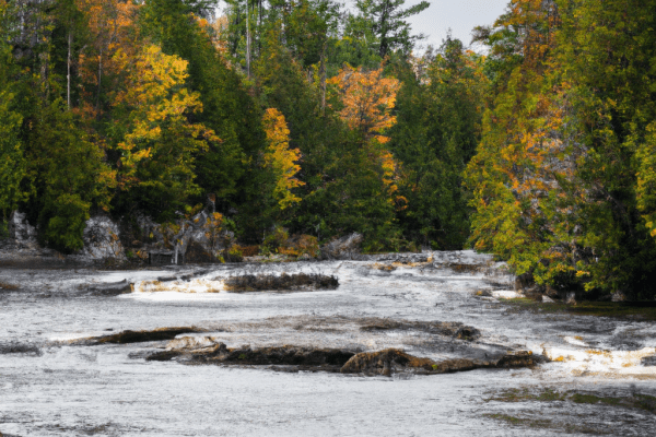 west branch ausable river