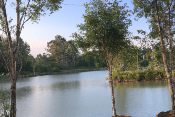 fishing lake near me