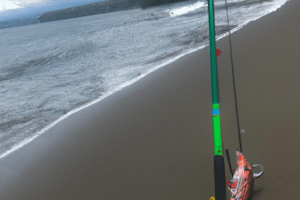 costa rica fishing