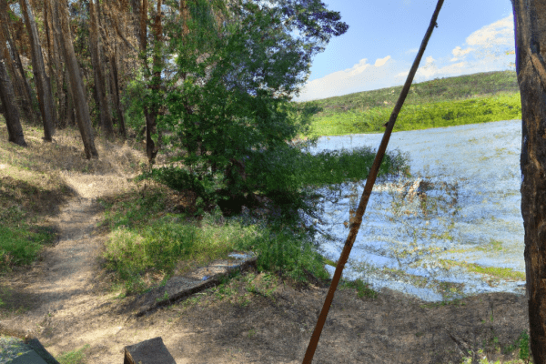 campground with fishing near me