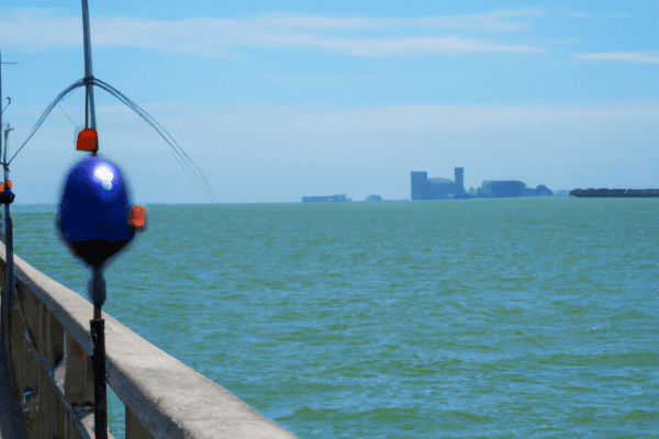 fishing on skyway pier