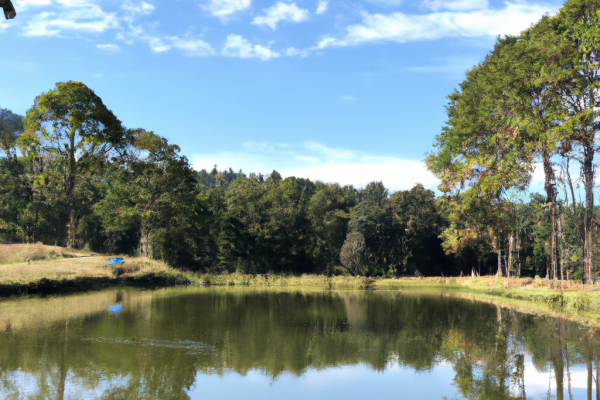 forest lake fishing and camping