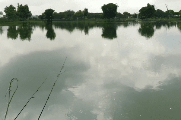 stocked fishing pond near me