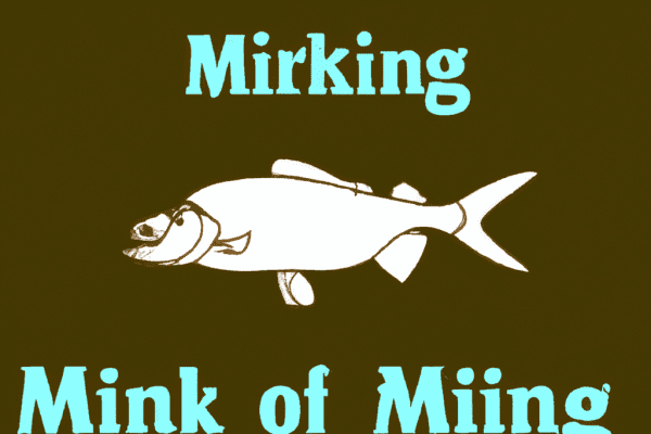 minnesota dnr fishing license