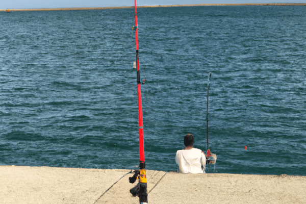 fishing california license