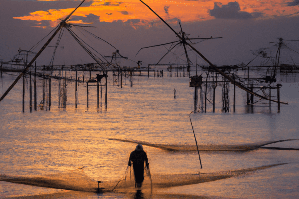 shell cracker fishing