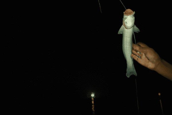 fishing on the dark