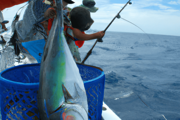 charter fishing