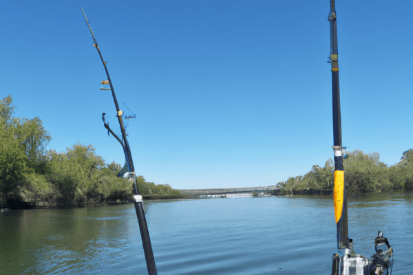 sacramento river fishing guides