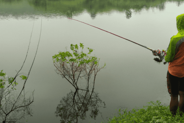 fishing in lakes