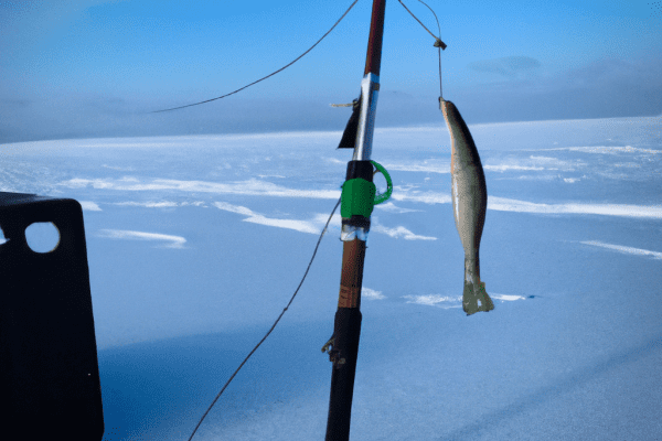 lake erie ice fishing guides