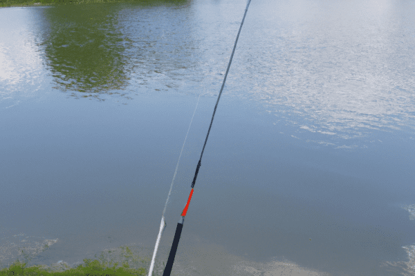 fishing at a pond