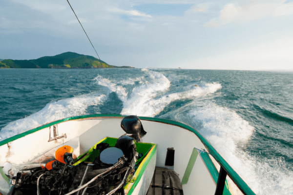 boat fishing charters