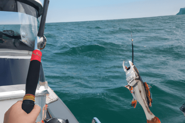 fishing charters on lake michigan