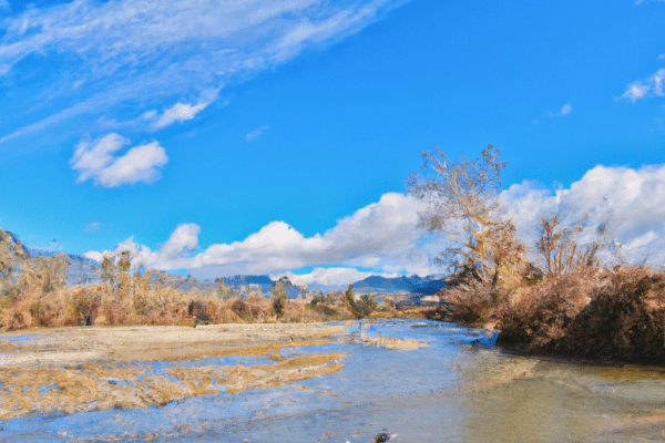 putah creek fly fishing