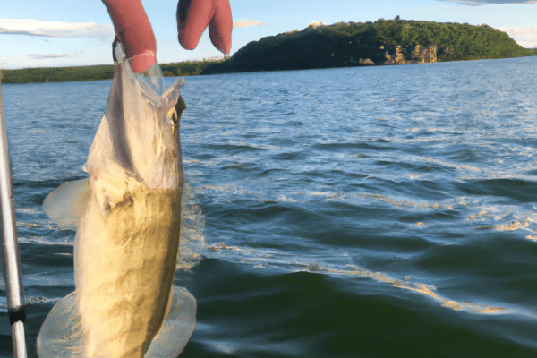 devils lake fishing reports