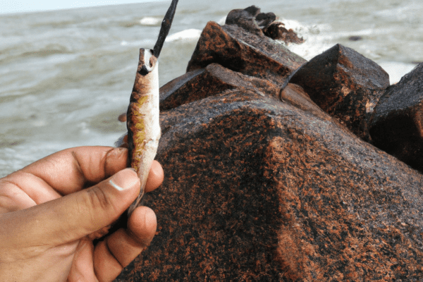 fishing on rocks