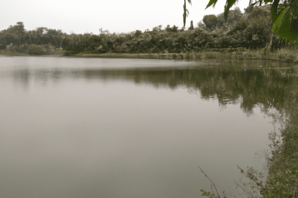 public lakes near me to fish