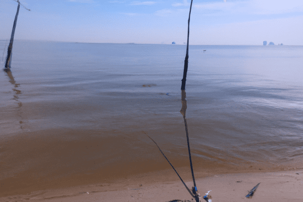 shore fishing spots near me