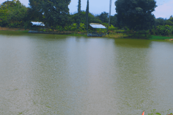 fishing ponds