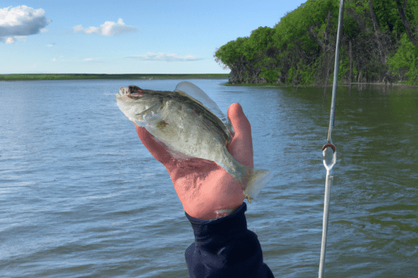 devils lake fishing report