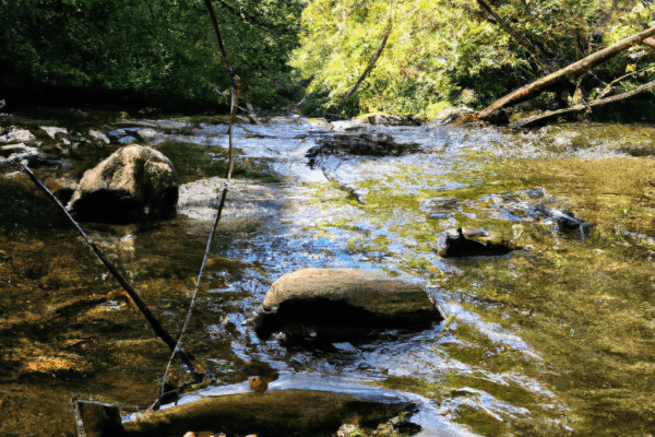 trout fishing smoky mountains