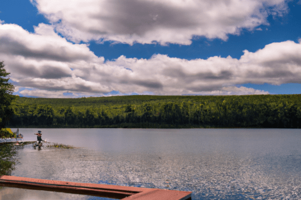 trout lake state forest campground