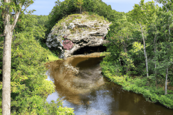 fishing and wildlife ky