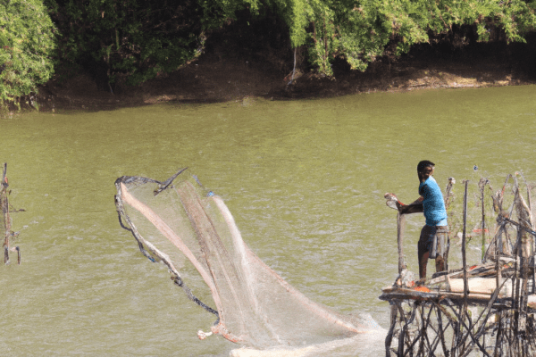 fishing catching