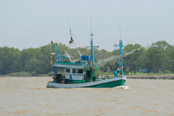 party fishing boat near me