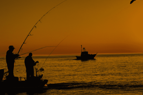 charter fishing on lake erie