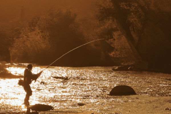 fly fishing the kern river