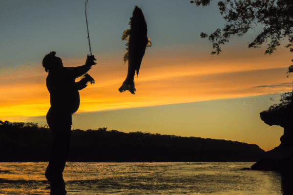 opening fishing mn