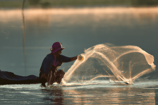 water dog fishing