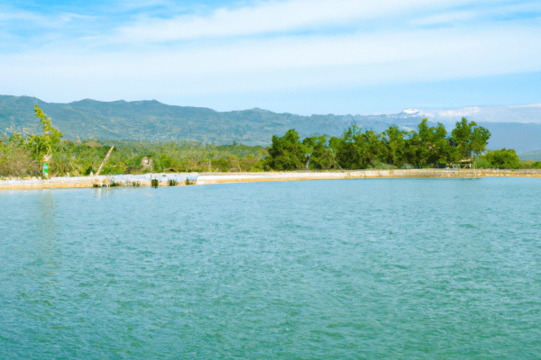 fly fishing ponds