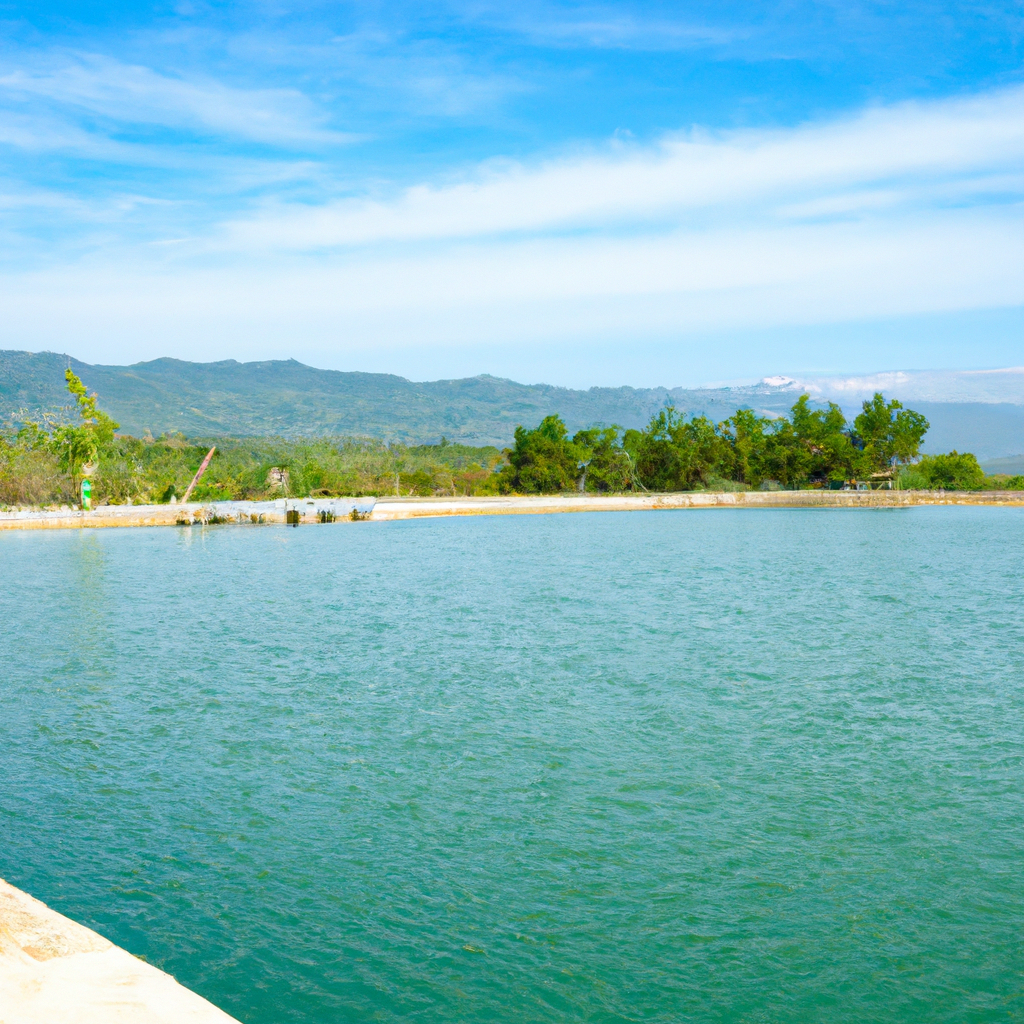 fly fishing ponds