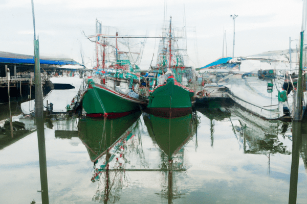 jetty fishery marina & rv park