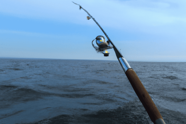 fishing charter lake michigan