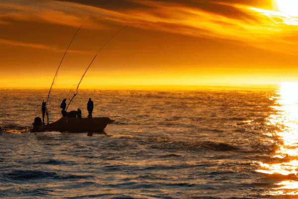 fishing charter on lake erie