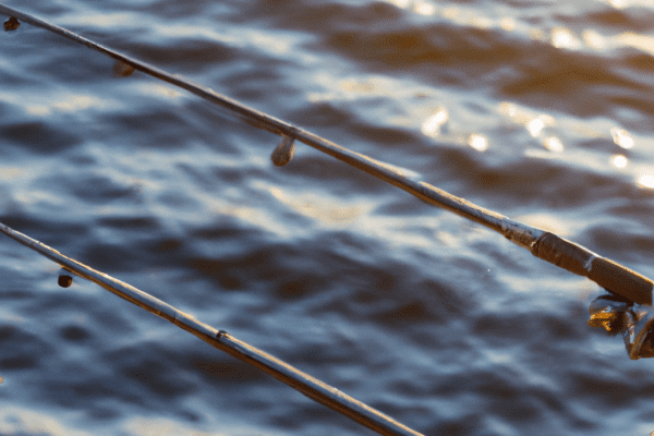 fishing on piers