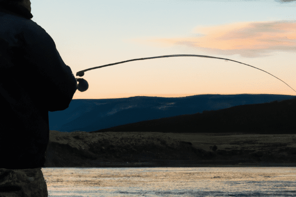 snake river fishing guides