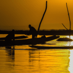lake fork fishing guides prices
