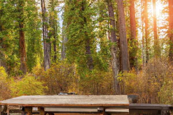 fishtrap lake campground