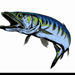 fish wrangler
