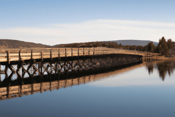 yellowstone fishing bridge