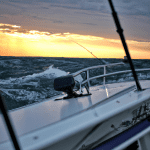 fishing charter on lake michigan