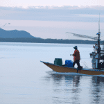 commercial fishing license