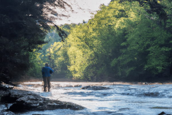 watauga river fly fishing